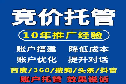 百度SEM竞价推广成功案例：某电商平台的营销奇迹